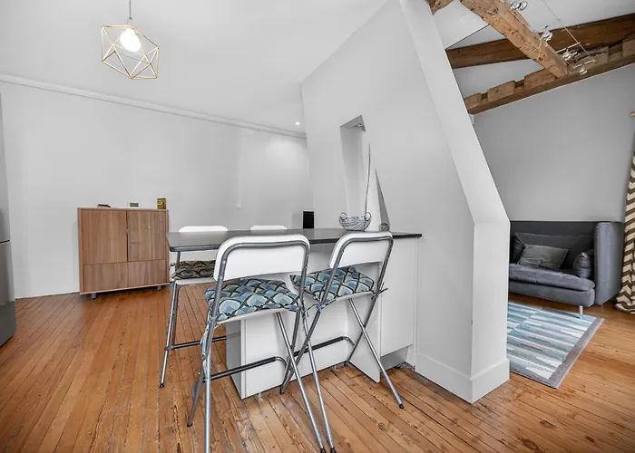 Le Nid De La Pomme Διαμέρισμα Τουλούζη