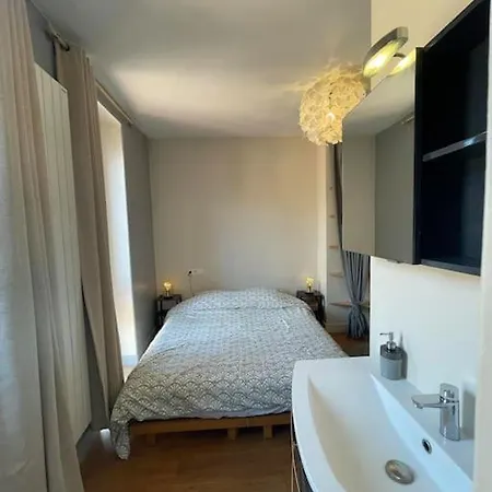 Le Nid De La Pomme Appartement Toulouse