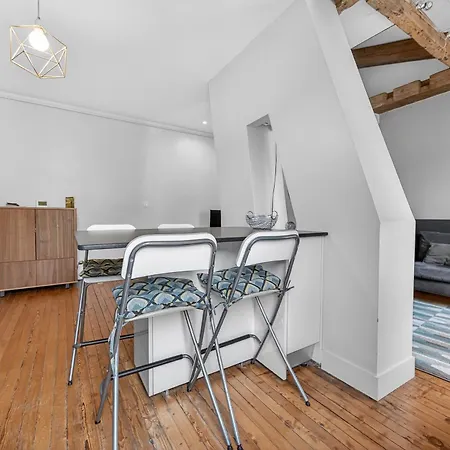 Le Nid De La Pomme Apartment Toulouse